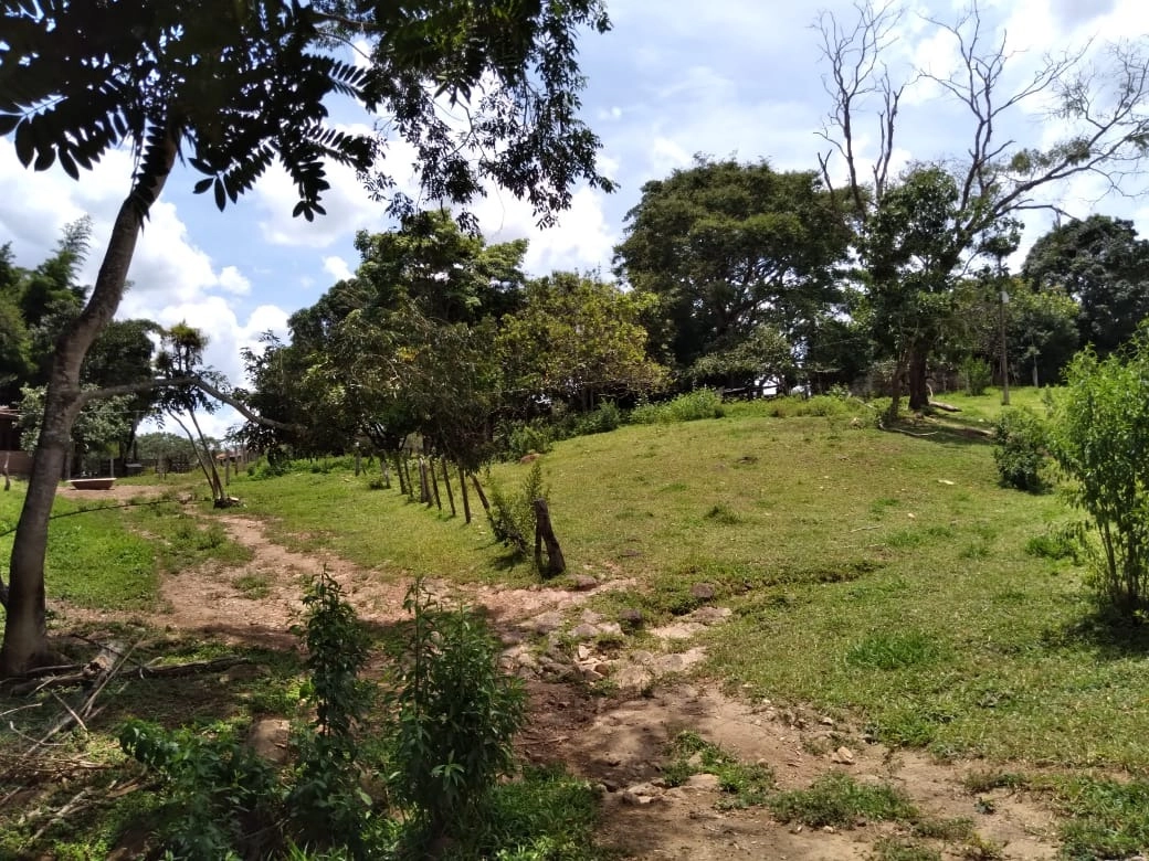 image_re_6766172.jpg