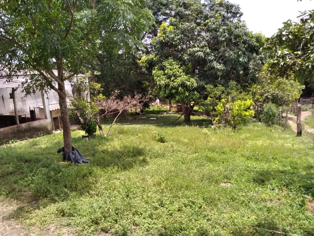 image_re_6766177.jpg