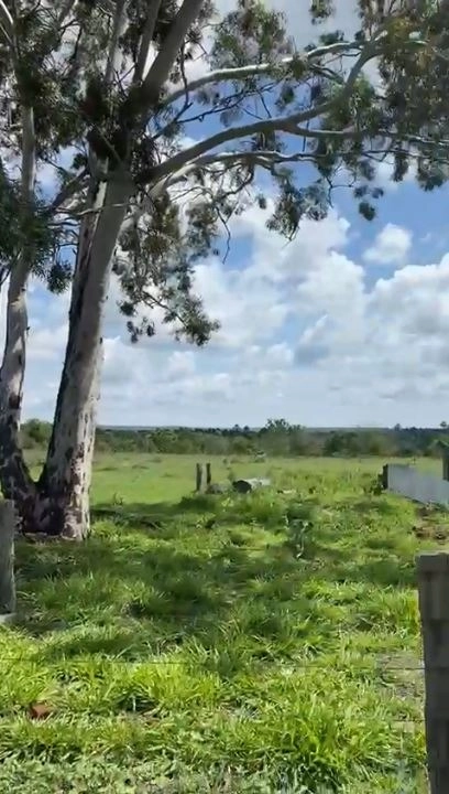 Fazenda/Sítios/Chácaras de 8170000m² no bairro São Desidério, em São Desidério | Eu Corretor