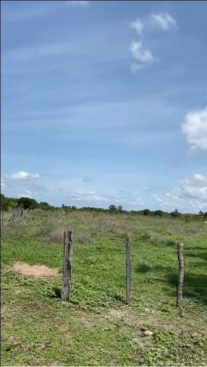 Fazenda/Sítios/Chácaras de 8170000m² no bairro São Desidério, em São Desidério | Eu Corretor
