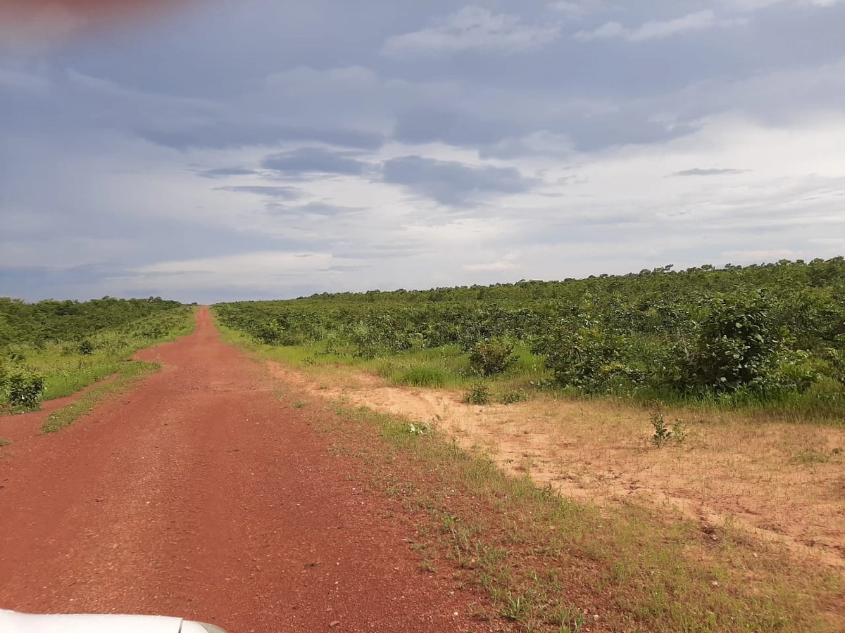 Fazenda/Sítios/Chácaras de 37890000m² no bairro Pedro Afonso, em Pedro Afonso | Eu Corretor