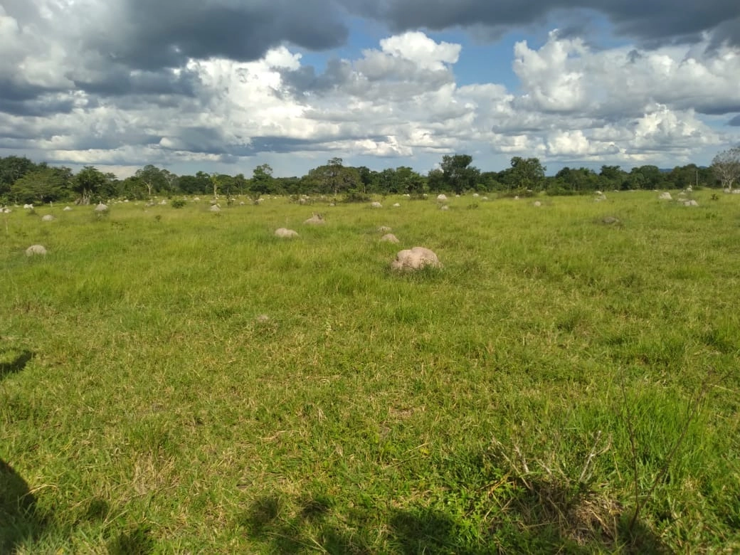Fazenda/Sítios/Chácaras de 4501200m² no bairro Nova Crixás, em Nova Crixás | Eu Corretor