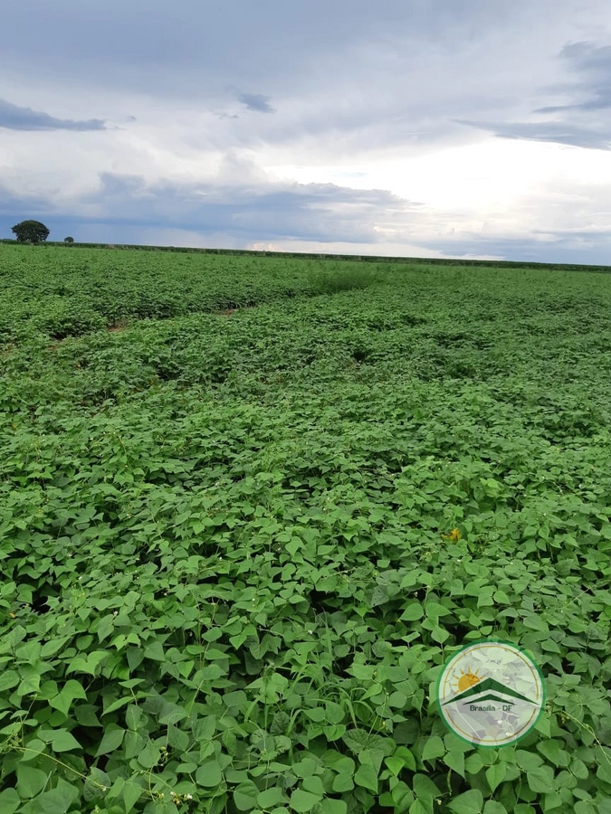 Fazenda/Sítios/Chácaras de 750000m² no bairro Unaí, em Unaí | Eu Corretor