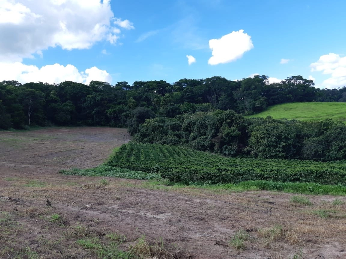 Fazenda/Sítios/Chácaras de 750000m² no bairro Unaí, em Unaí | Eu Corretor