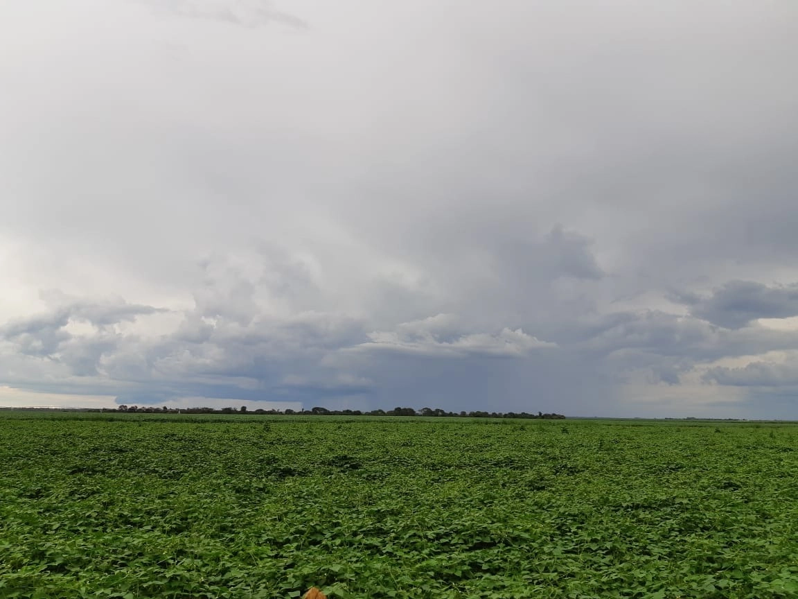 Fazenda/Sítios/Chácaras de 750000m² no bairro Unaí, em Unaí | Eu Corretor
