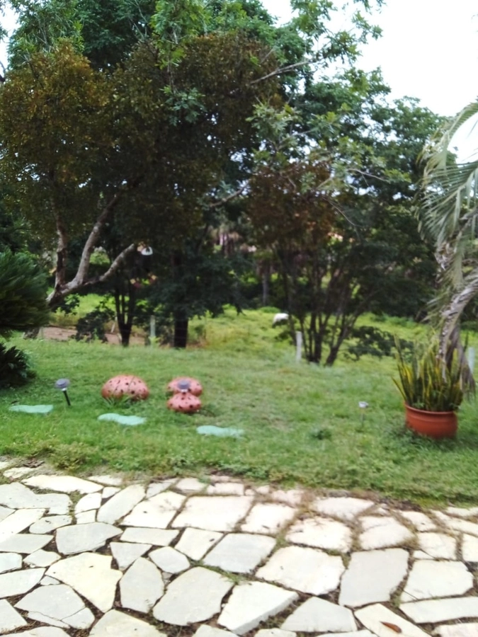 image_re_6766425.jpg