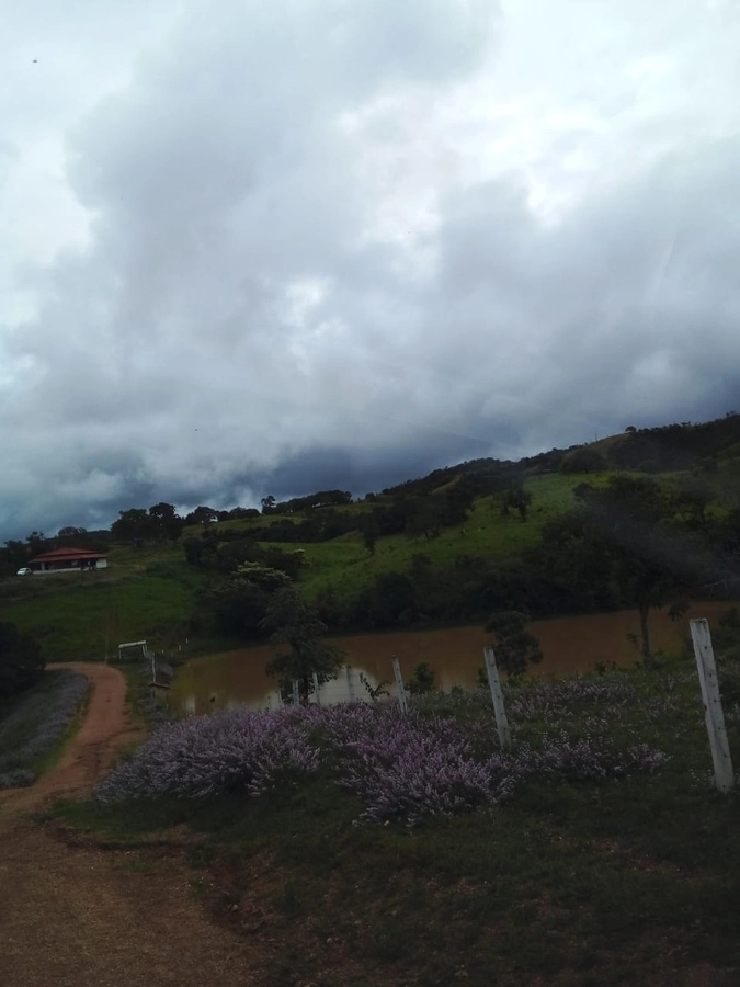 image_re_6766430.jpg