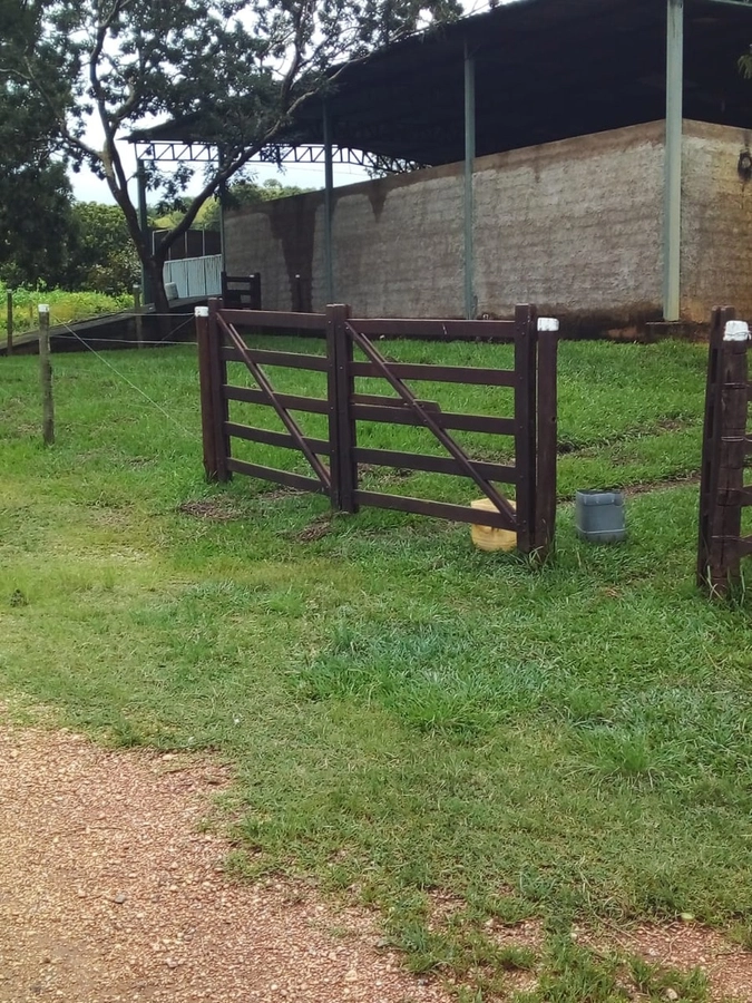 image_re_6766435.jpg