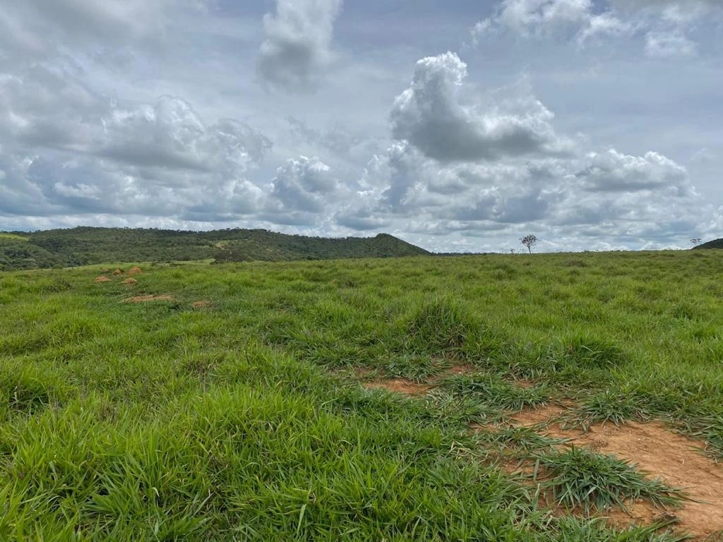 Fazenda/Sítios/Chácaras de 6370000m² no bairro Centro, em Luziânia | Eu Corretor