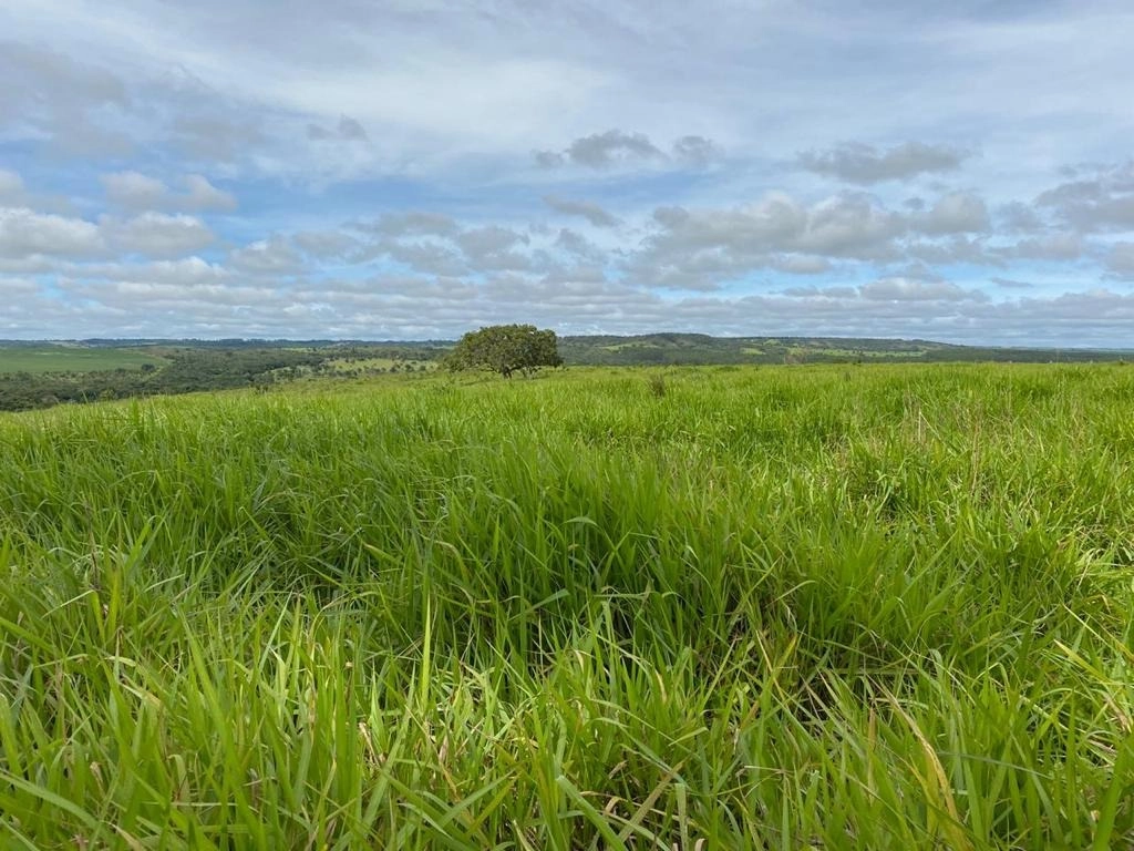 Fazenda/Sítios/Chácaras de 6370000m² no bairro Centro, em Luziânia | Eu Corretor