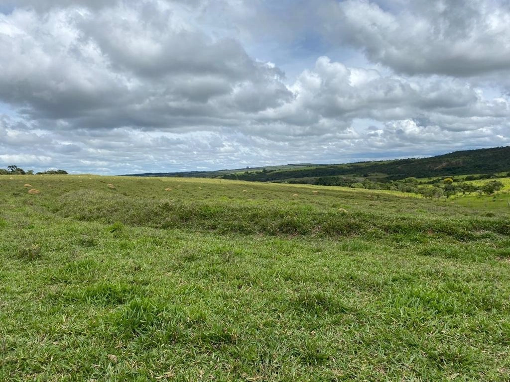 image_re_6766474.jpg