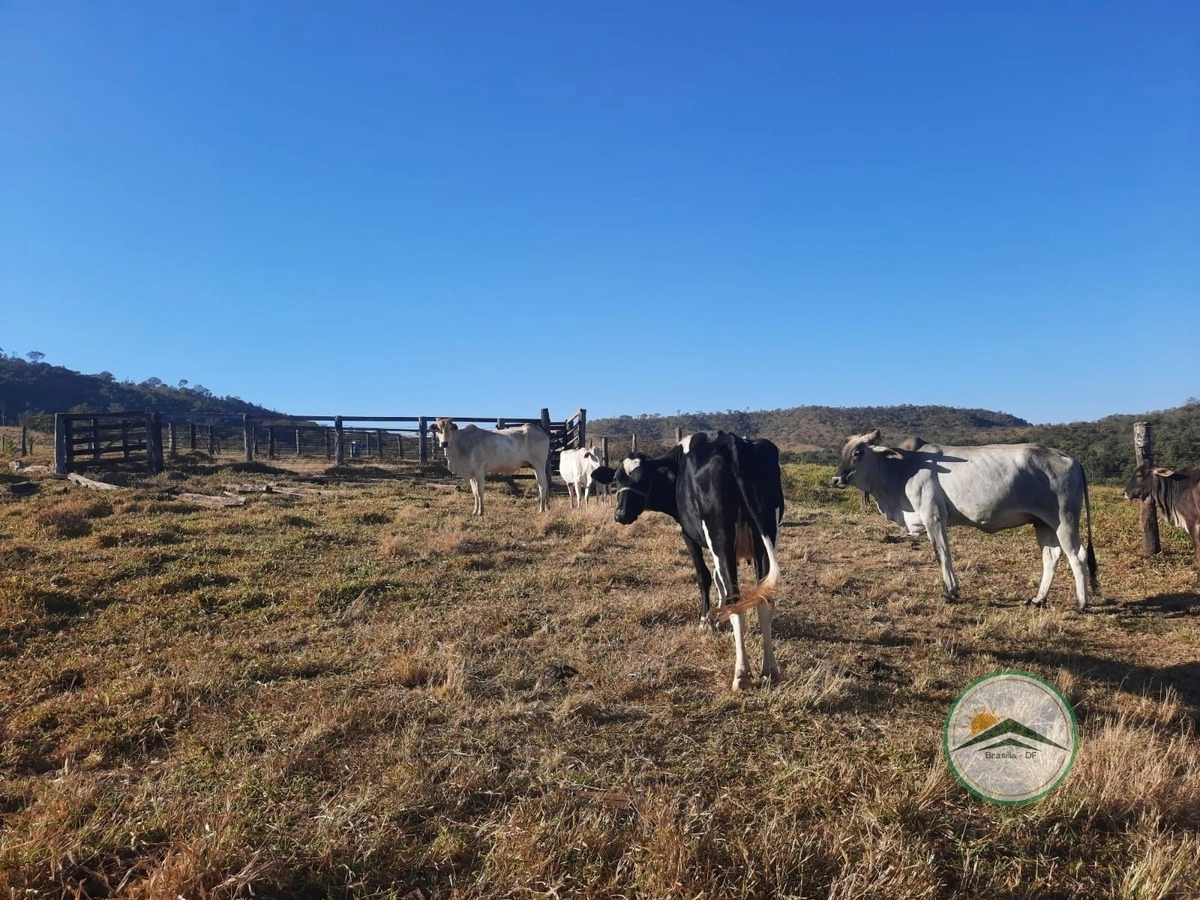 Fazenda/Sítios/Chácaras de 1887600m² no bairro Centro, em Luziânia | Eu Corretor