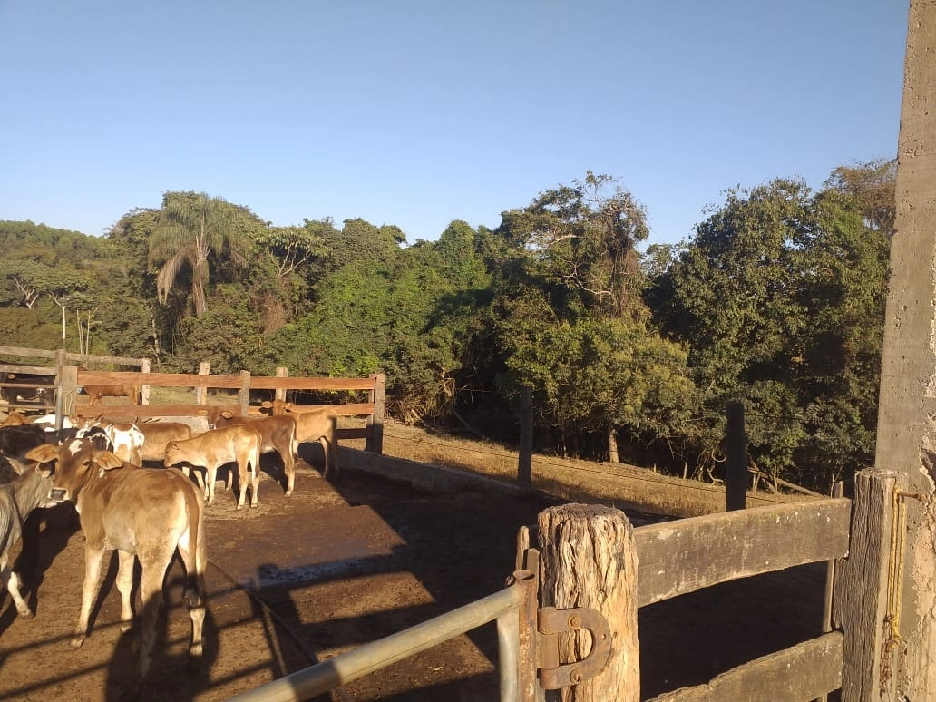 Fazenda/Sítios/Chácaras de 1887600m² no bairro Centro, em Luziânia | Eu Corretor