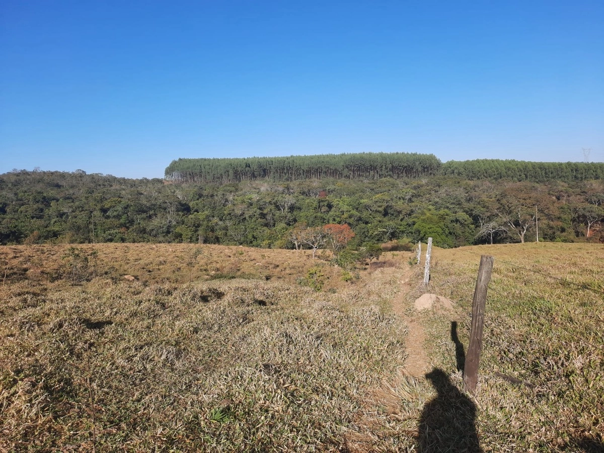 image_re_6766494.jpg