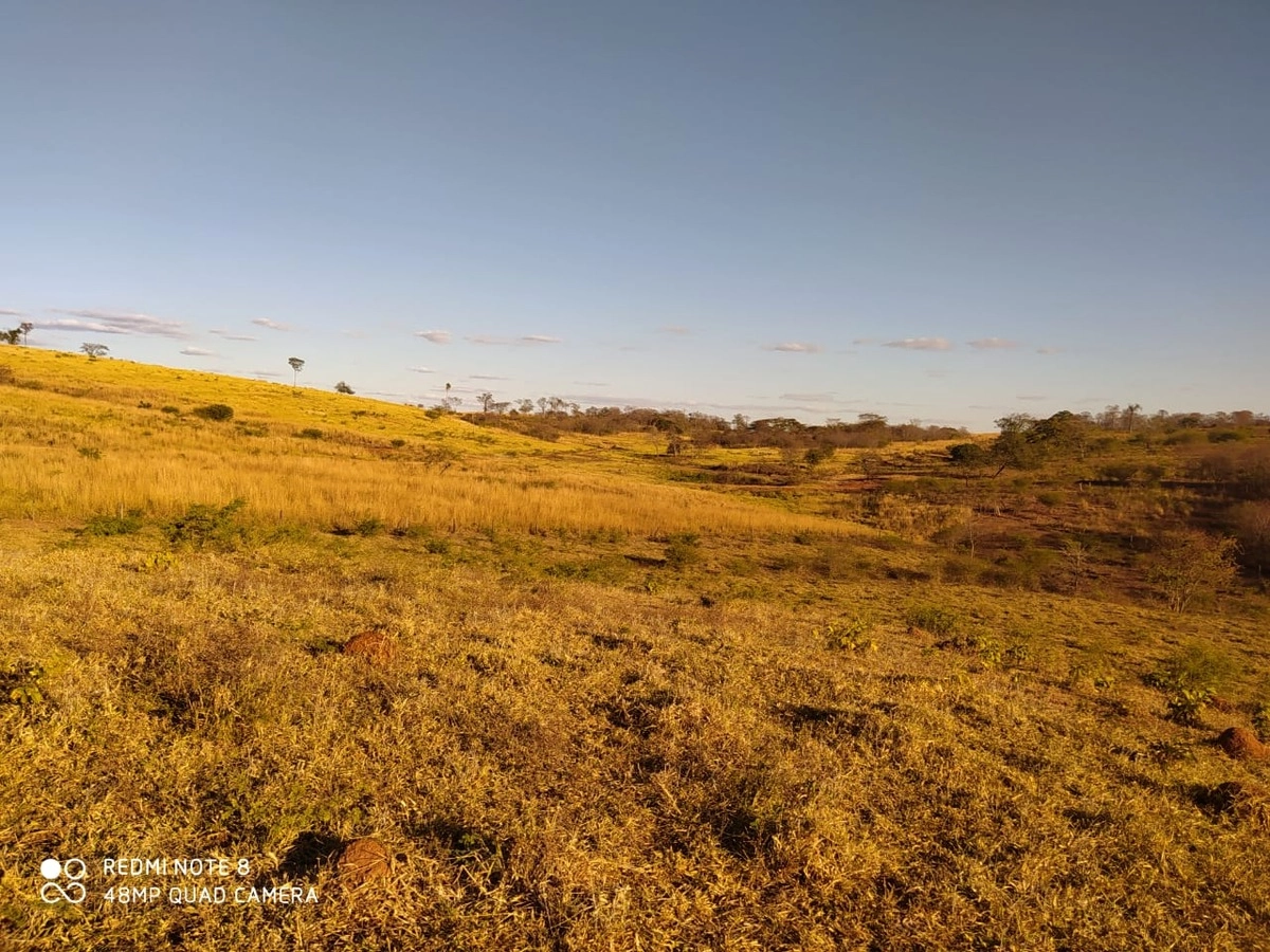 Fazenda/Sítios/Chácaras de 10357600m² no bairro Alvorada do Norte, em Alvorada do Norte | Eu Corretor