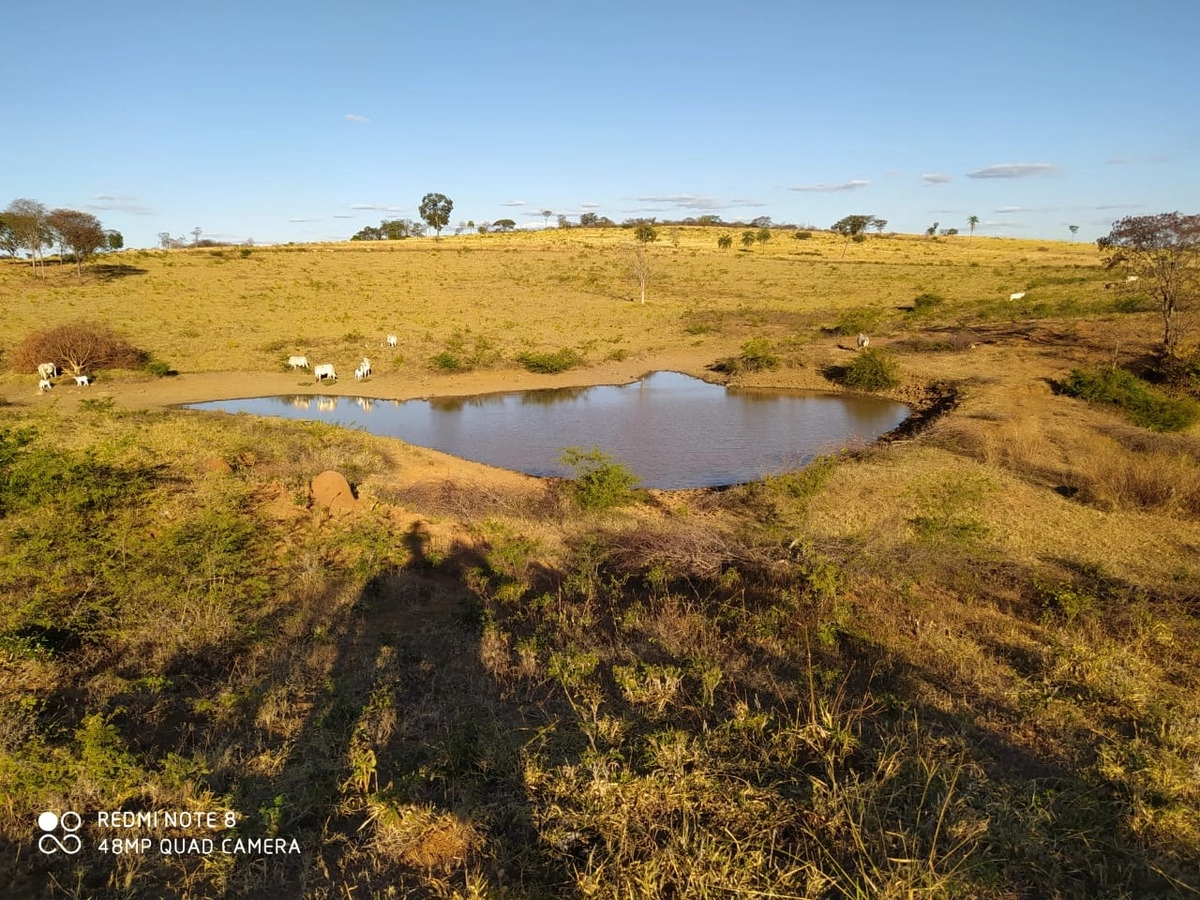 Fazenda/Sítios/Chácaras de 10357600m² no bairro Alvorada do Norte, em Alvorada do Norte | Eu Corretor