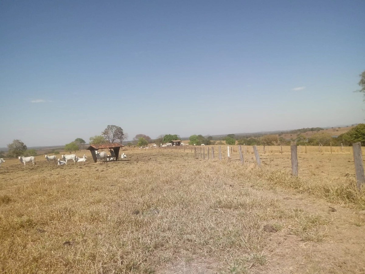 Fazenda/Sítios/Chácaras de 21973600m² no bairro Araguapaz, em Araguapaz | Eu Corretor