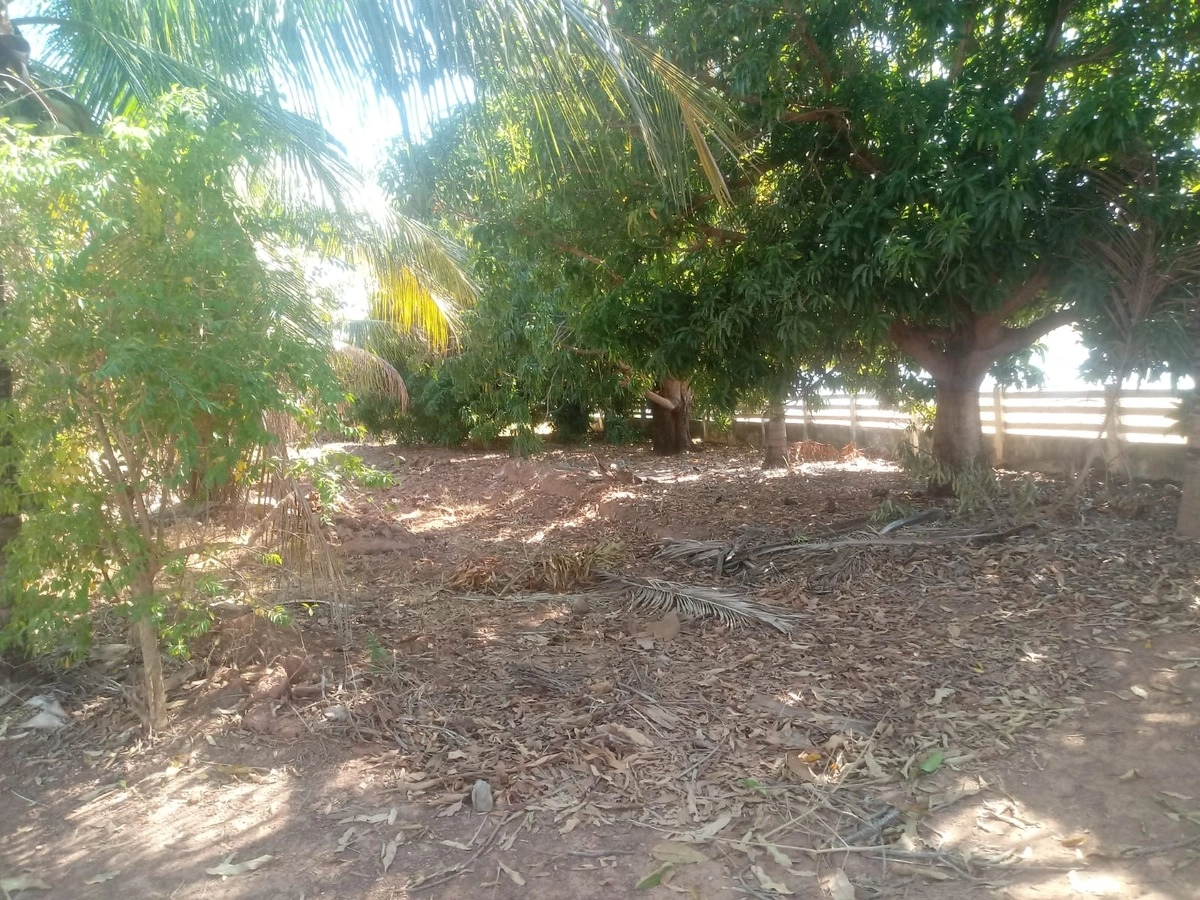 image_re_6766711.jpg