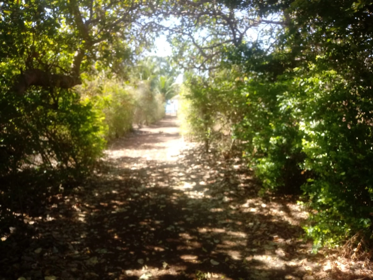 image_re_6766712.jpg