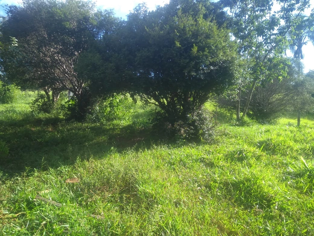 image_re_6766748.jpg