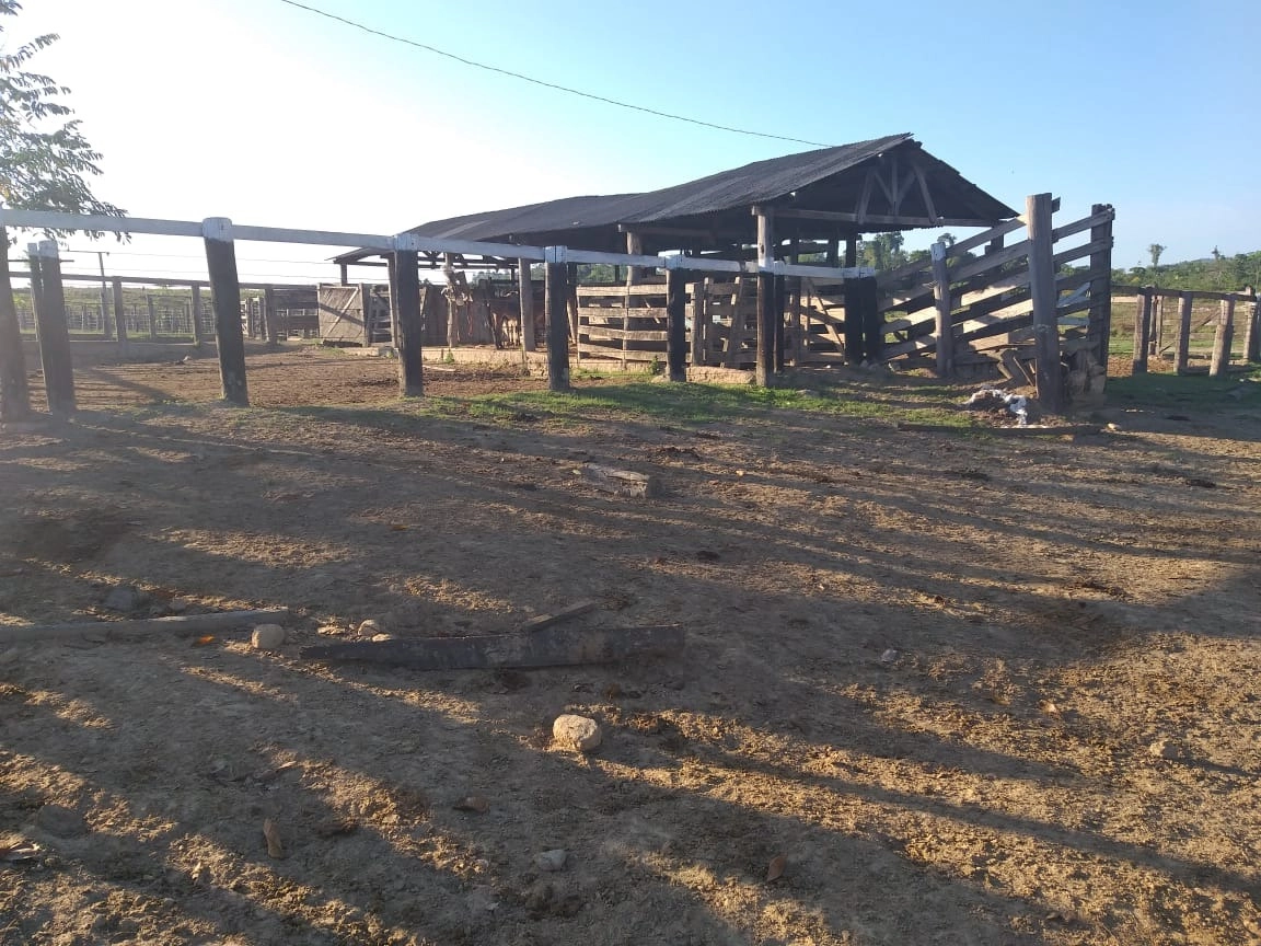 Fazenda/Sítios/Chácaras de 30250000m² no bairro Pacajá, em Pacajá | Eu Corretor