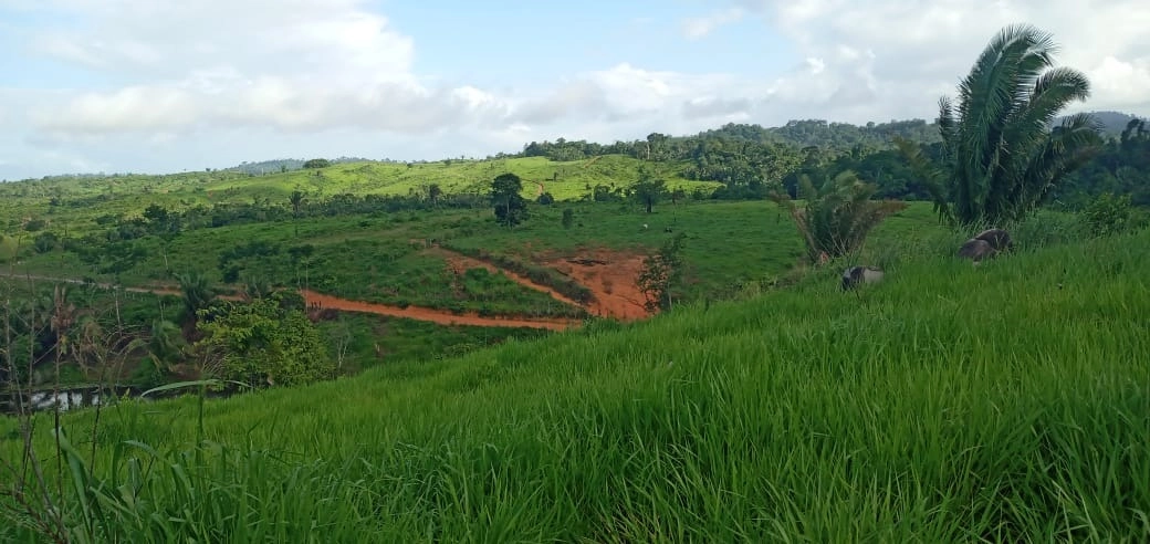 Fazenda/Sítios/Chácaras de 30250000m² no bairro Pacajá, em Pacajá | Eu Corretor