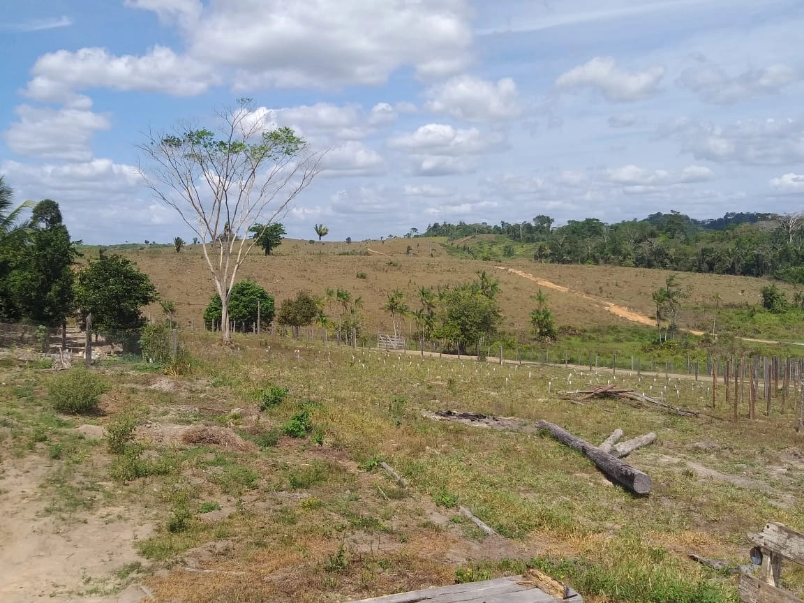 Fazenda/Sítios/Chácaras de 30250000m² no bairro Pacajá, em Pacajá | Eu Corretor