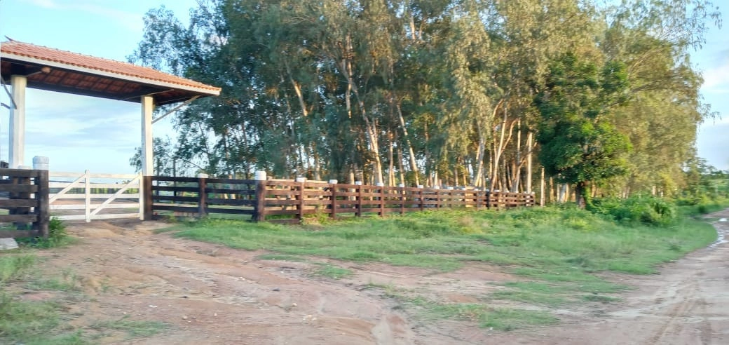 image_re_6766937.jpg