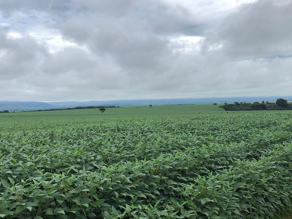 Fazenda/Sítios/Chácaras de 4960000m² no bairro Paracatu, em Paracatu | Eu Corretor