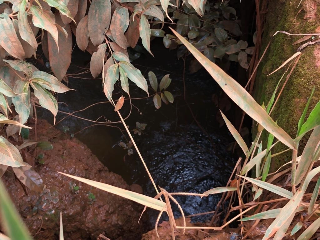 Fazenda/Sítios/Chácaras de 4960000m² no bairro Paracatu, em Paracatu | Eu Corretor
