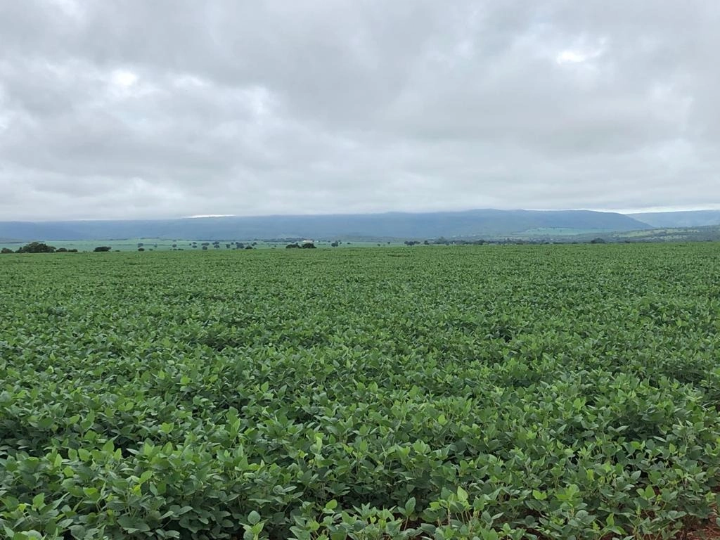 Fazenda/Sítios/Chácaras de 4960000m² no bairro Paracatu, em Paracatu | Eu Corretor