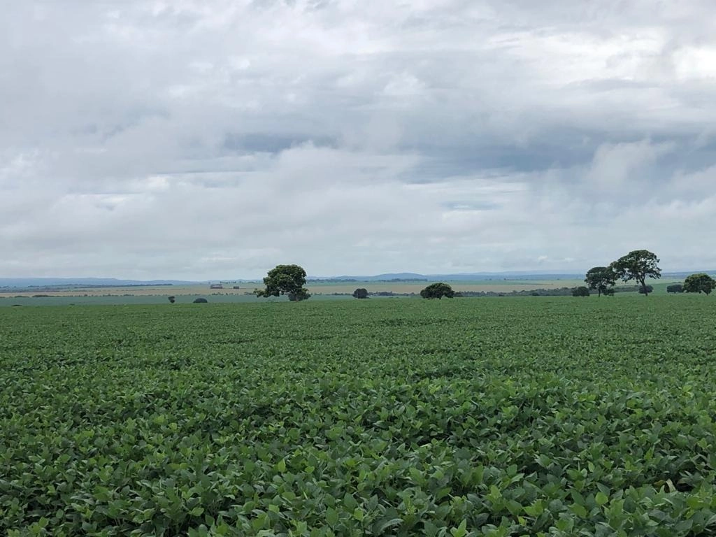 Fazenda/Sítios/Chácaras de 4960000m² no bairro Paracatu, em Paracatu | Eu Corretor