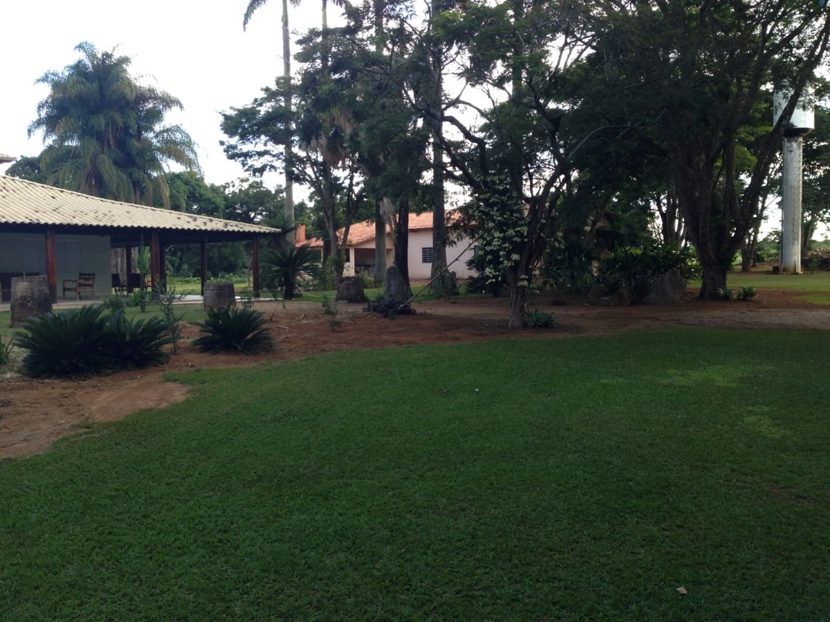 image_re_6766972.jpg
