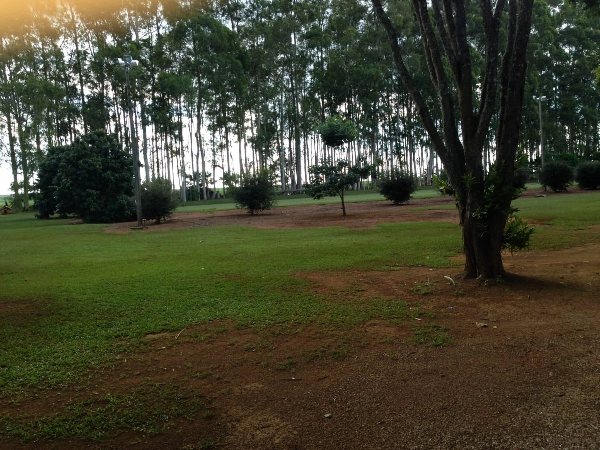 image_re_6766973.jpg
