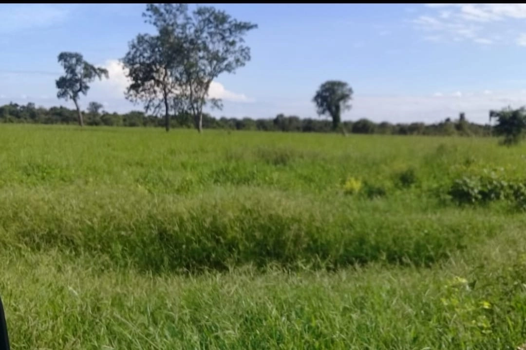 Fazenda/Sítios/Chácaras de 21630000m² no bairro Nova Crixás, em Nova Crixás | Eu Corretor
