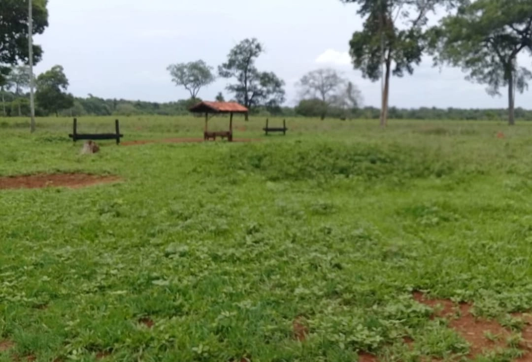 Fazenda/Sítios/Chácaras de 21630000m² no bairro Nova Crixás, em Nova Crixás | Eu Corretor