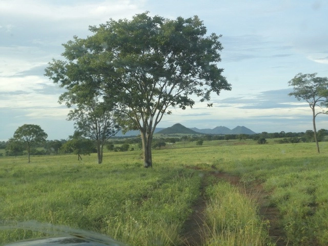 Fazenda/Sítios/Chácaras de 87120000m² no bairro Alvorada do Norte, em Alvorada do Norte | Eu Corretor
