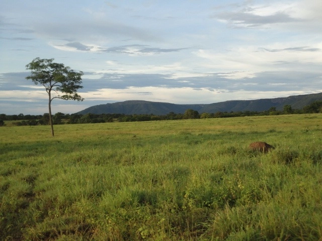 image_re_6767014.jpg