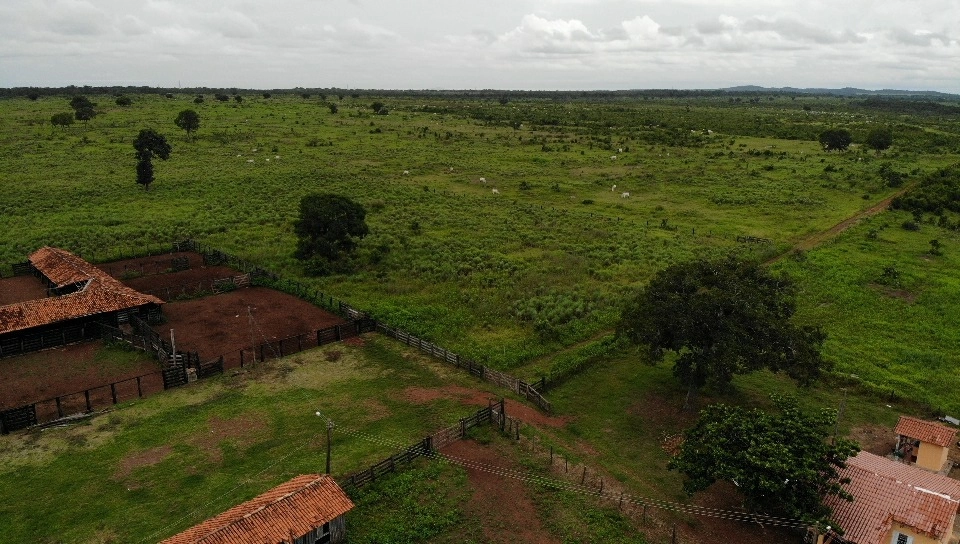 Fazenda/Sítios/Chácaras de 51788000m² no bairro Lagoa da Confusão, em Lagoa da Confusão | Eu Corretor