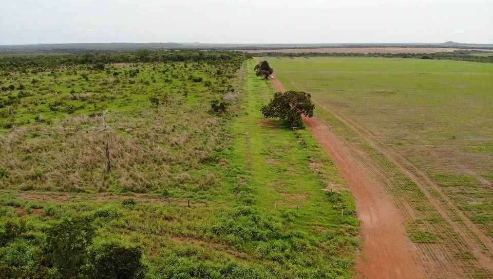 Fazenda/Sítios/Chácaras de 51788000m² no bairro Lagoa da Confusão, em Lagoa da Confusão | Eu Corretor