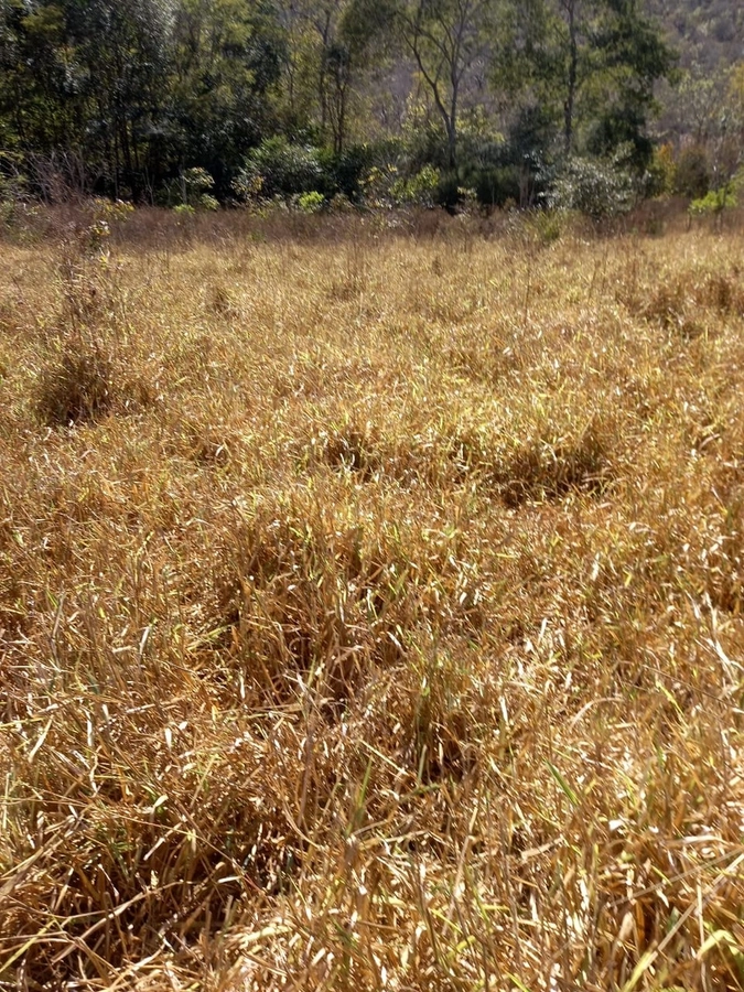 Fazenda/Sítios/Chácaras de 4840000m² no bairro Minaçu, em Minaçu | Eu Corretor