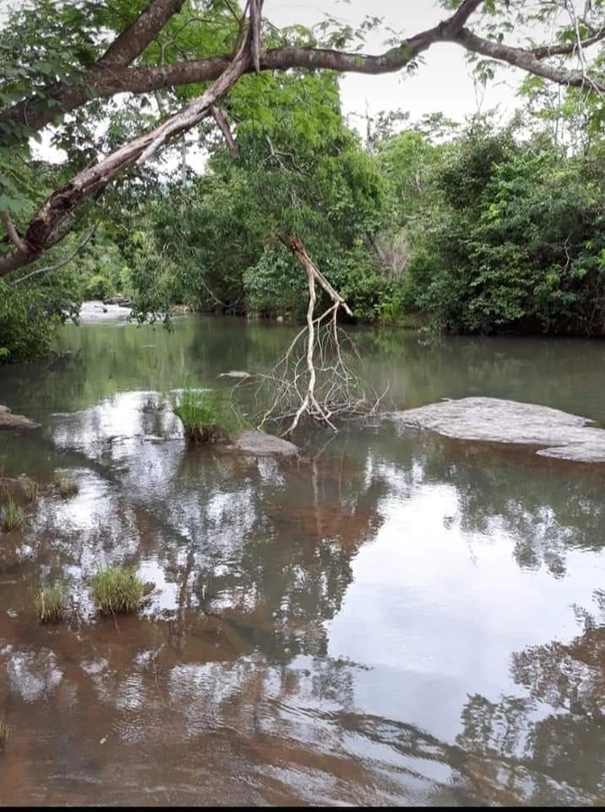 Fazenda/Sítios/Chácaras de 4840000m² no bairro Minaçu, em Minaçu | Eu Corretor