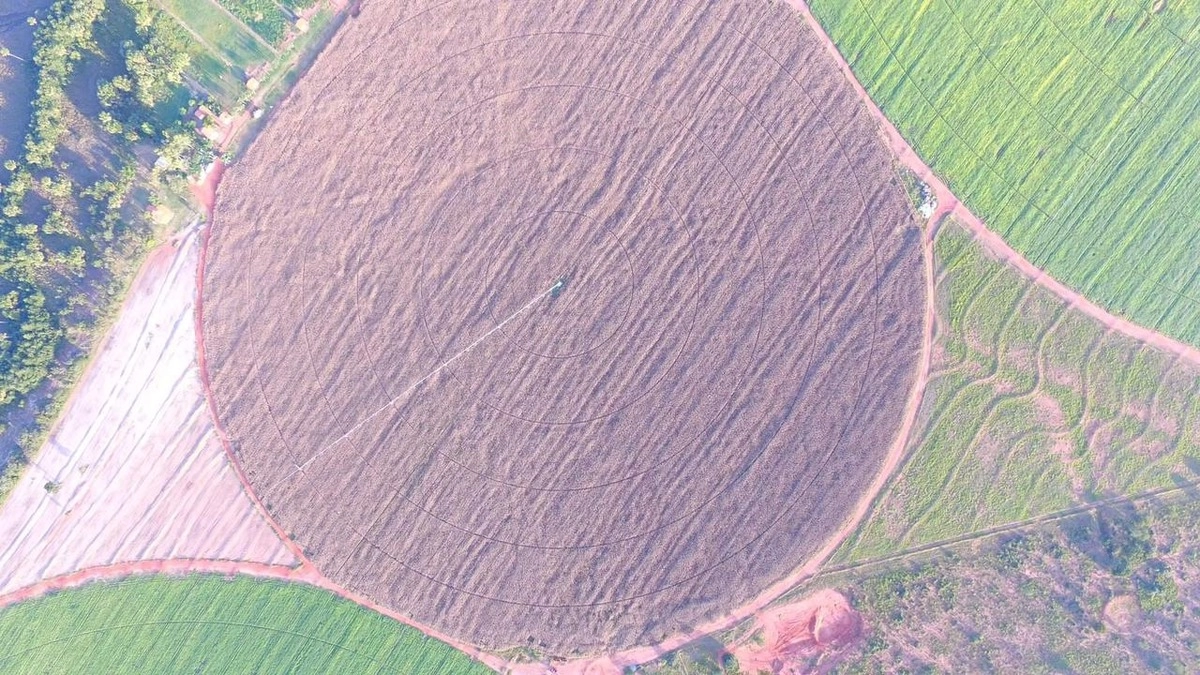 Fazenda/Sítios/Chácaras de 6300000m² no bairro João Pinheiro, em João Pinheiro | Eu Corretor