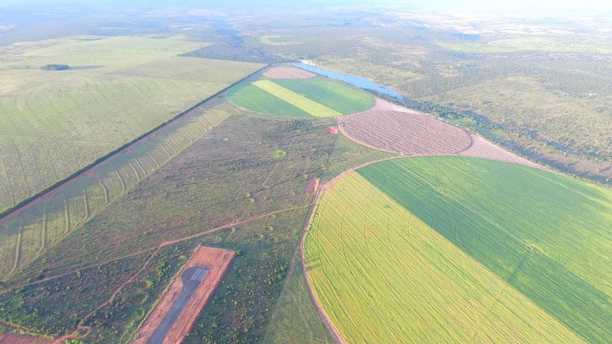 Fazenda/Sítios/Chácaras de 6300000m² no bairro João Pinheiro, em João Pinheiro | Eu Corretor