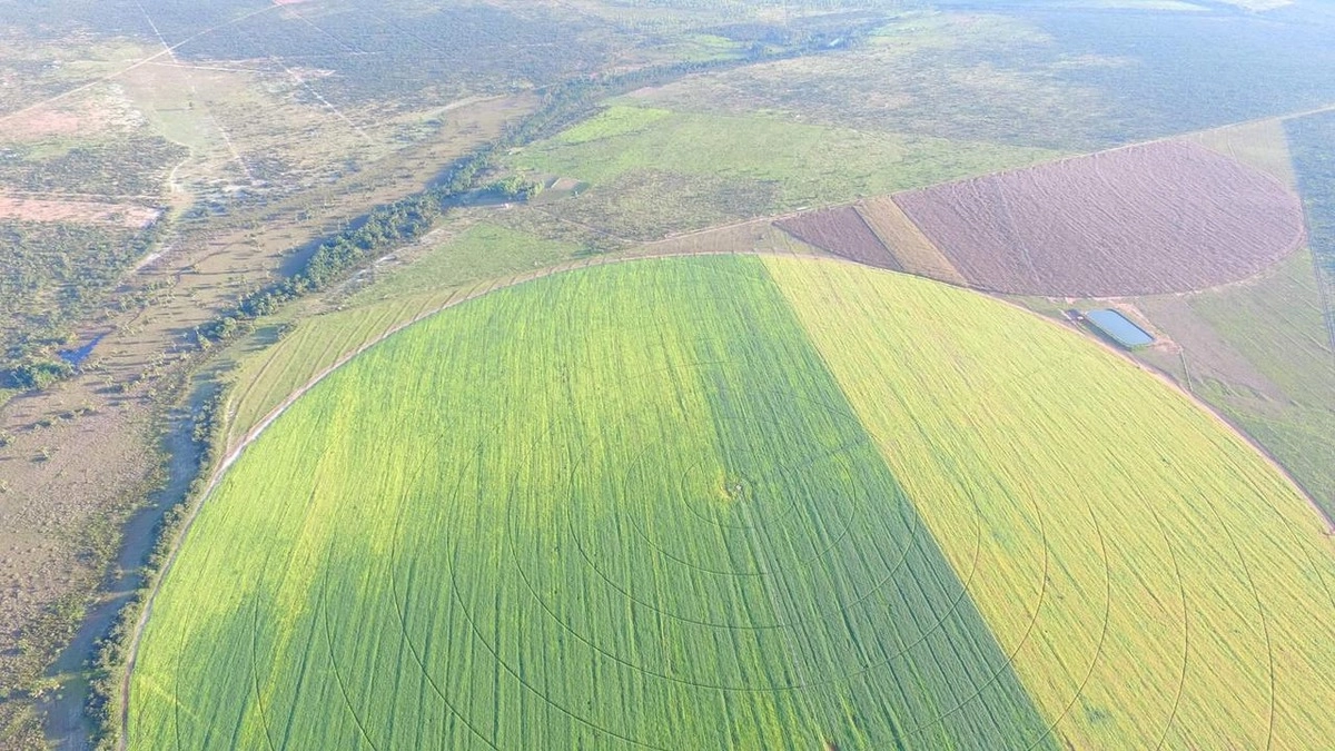 Fazenda/Sítios/Chácaras de 6300000m² no bairro João Pinheiro, em João Pinheiro | Eu Corretor