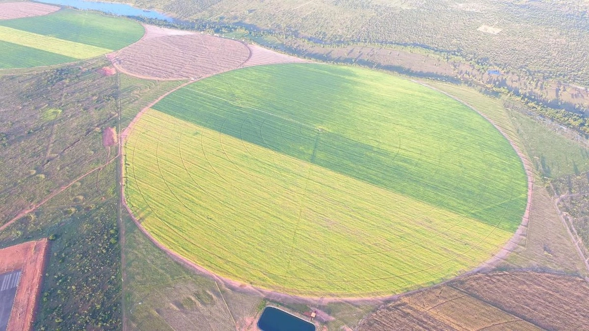 Fazenda/Sítios/Chácaras de 6300000m² no bairro João Pinheiro, em João Pinheiro | Eu Corretor