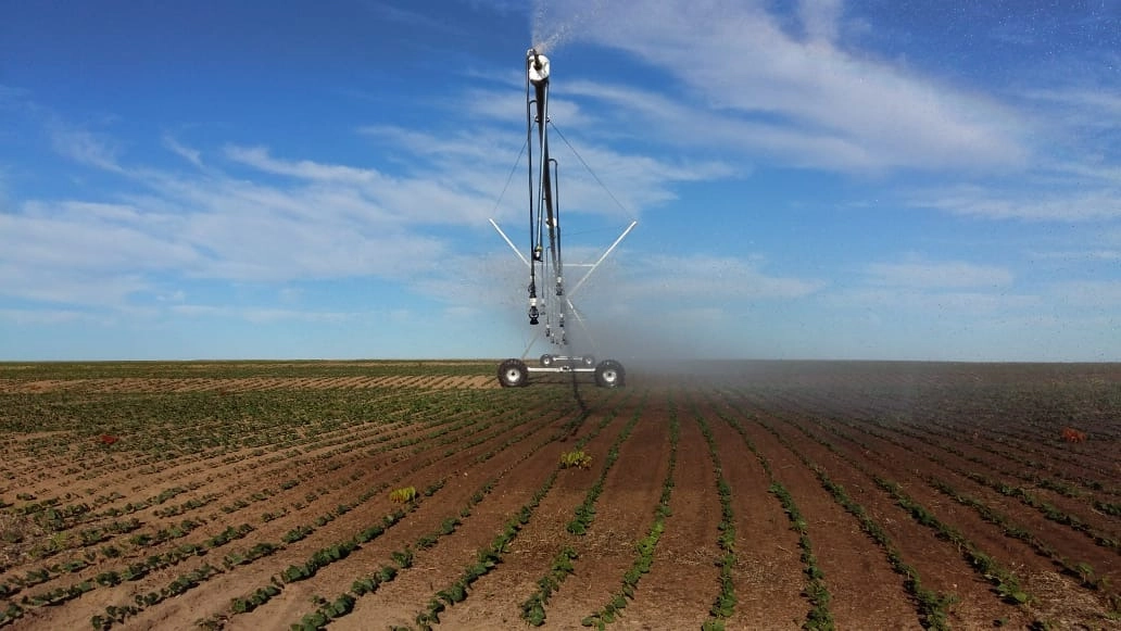Fazenda/Sítios/Chácaras de 11390000m² no bairro Sítio dAbadia, em Sítio dAbadia | Eu Corretor