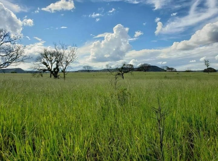 Fazenda/Sítios/Chácaras de 94380000m² no bairro Alvorada do Norte, em Alvorada do Norte | Eu Corretor