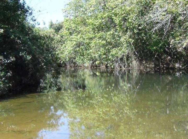 Fazenda/Sítios/Chácaras de 94380000m² no bairro Alvorada do Norte, em Alvorada do Norte | Eu Corretor