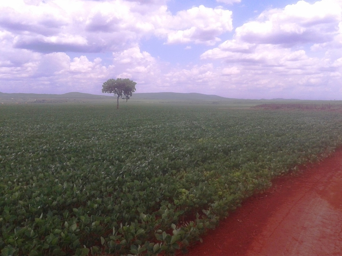 Fazenda/Sítios/Chácaras de 71830000m² no bairro Paracatu, em Paracatu | Eu Corretor